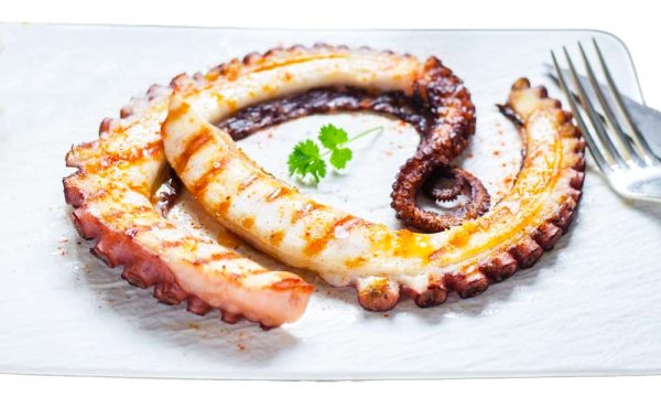 Pulpo - Pata
