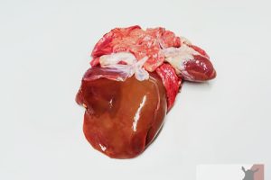 comprar asadura cabrito lechal, comprar asadura cordero lechal, comprar asadurilla, comprar asadura de lechazo, comprar asadura para encebollar, comprar asadurica para encebollar
