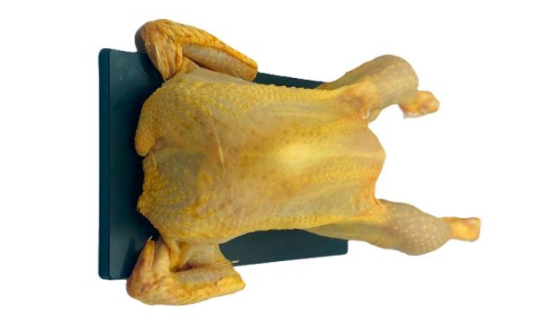 Pollo arreglado