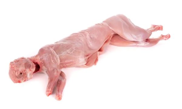 Conejo entero - 1kg aprox.