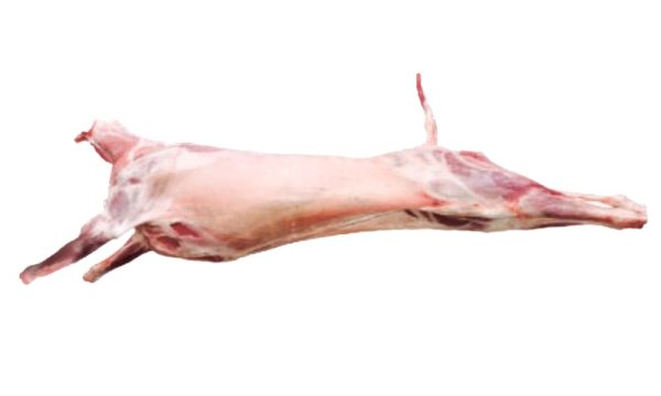 Cabrito lechal - Entero