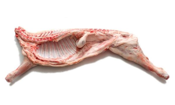 Cabrito lechal - Medio
