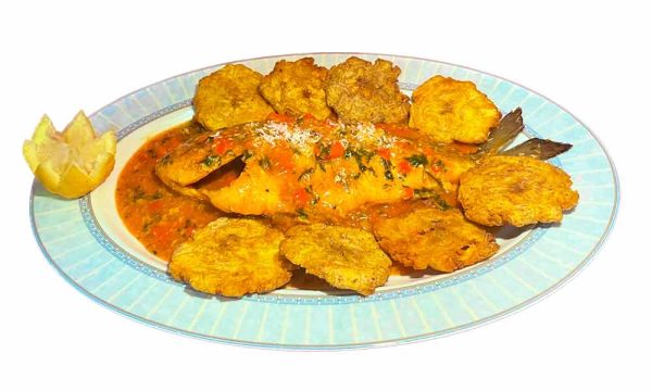 Dorada Encocada