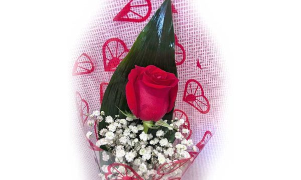 Rosa Roja decorada (ud)