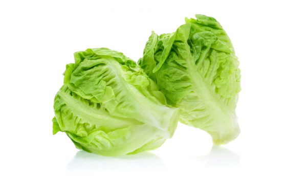 Lechuga Baby - 0,5kg