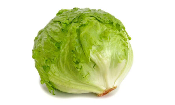 Lechuga Iceberg - Ud