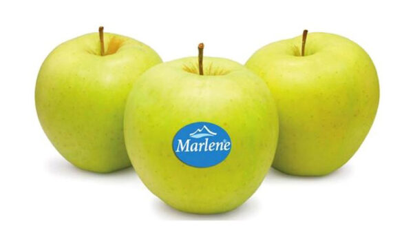 Manzana Golden Marlene - 1kg