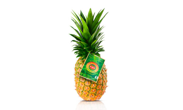 Piña - Ud