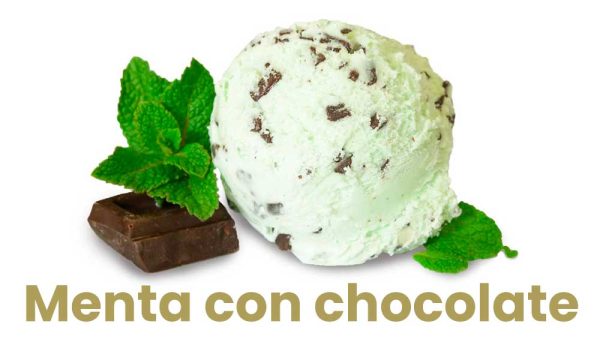 Tarrina 1L - Imagen 21