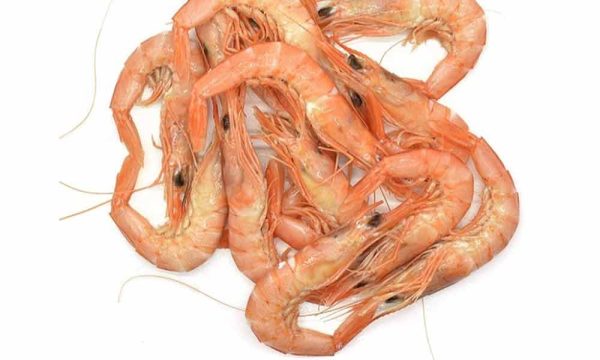 Gamba Blanca Cocida - Ud