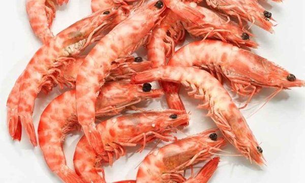 Langostino Cocido - Ud