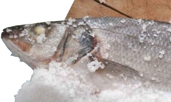 Lubina a la Sal