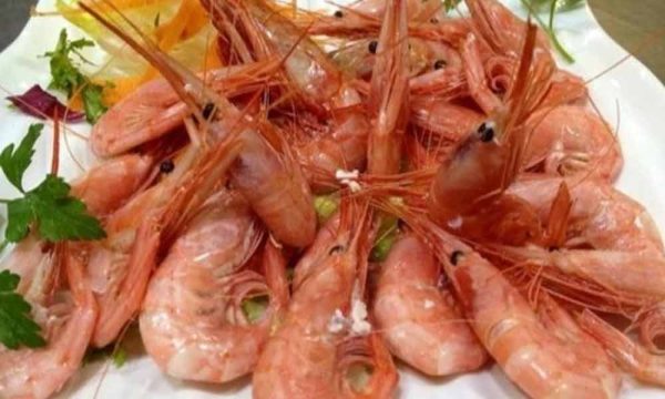 Quisquilla Cocida - Ud