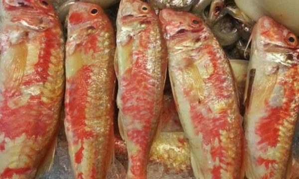 Salmonetes a la Plancha