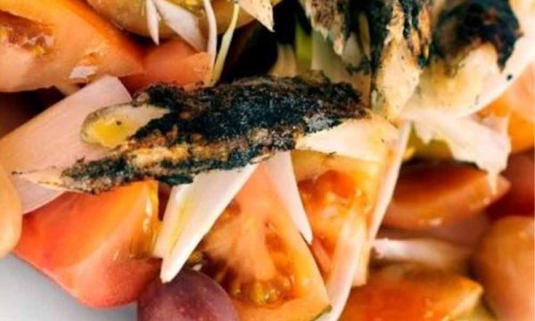 Tomate, Ventresca, Capellán y Olivas