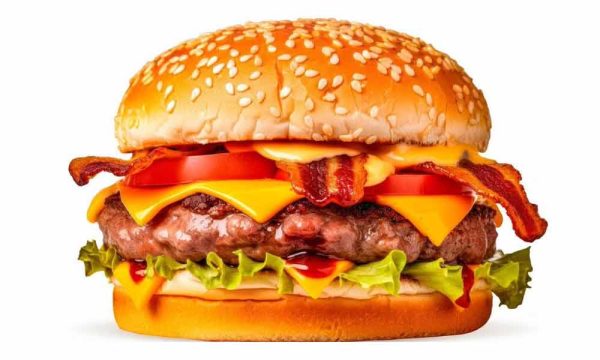 97. Hamburguesa Especial