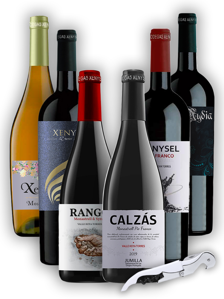 CAJA DELUXE 6 Vinos + Abridor de Regalo en oferta