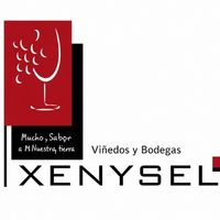 Logo de Bodegas Xenysel