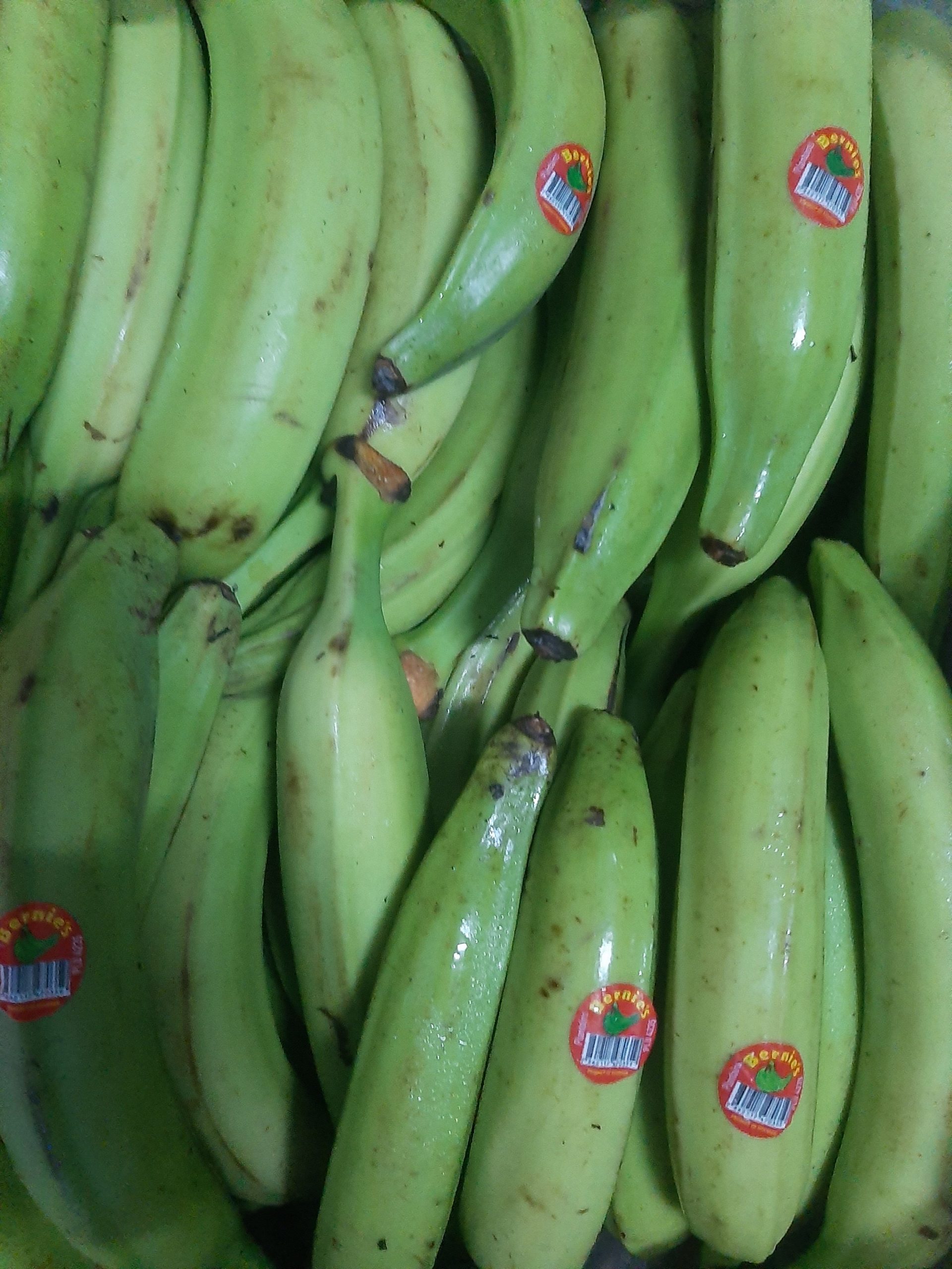 Plátano Macho verde Oferta 1kg en oferta